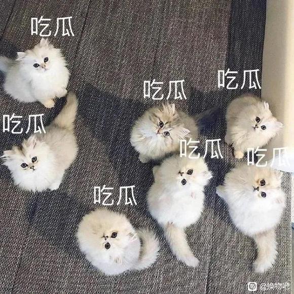 ���ɳ��ɻ�����Ĥ/��Ӱ��/����/���������.������ʱ��-1.jpg