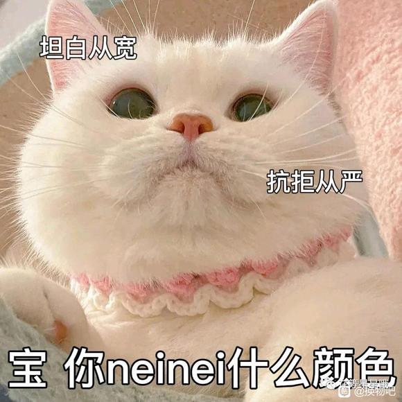 ���ɳ��ɻ���lo/jk/����/�ٷ�/cos/С����ֳ�����-1.jpg