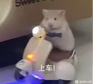 10.2��ֻè��չ���޹���ͬ��-1.jpg