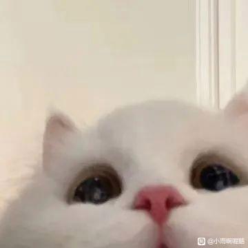 ���� cad �廭 ��Ӱ-1.jpg