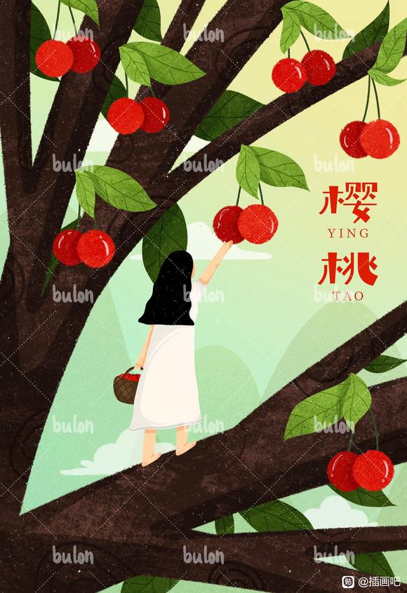 �廭�ӵ�,�е���,�۸���-4.jpg
