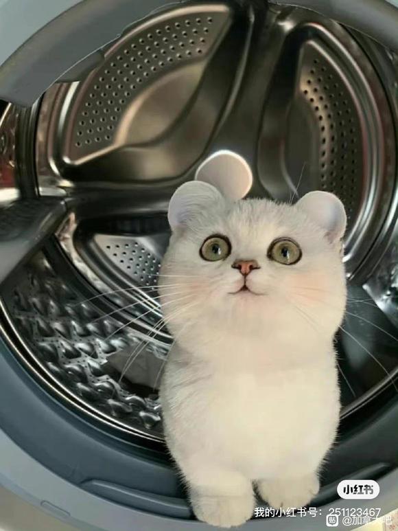 �����ʼ��ô�廭��ҵ��ҵ���-2.jpg