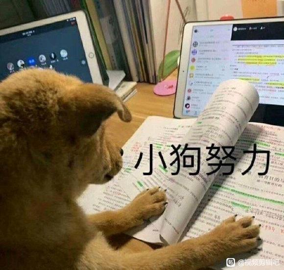 �����廭��Ӱ-1.jpg