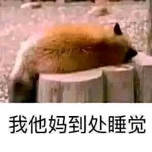 ��������չ�����Ļ�-2.jpg