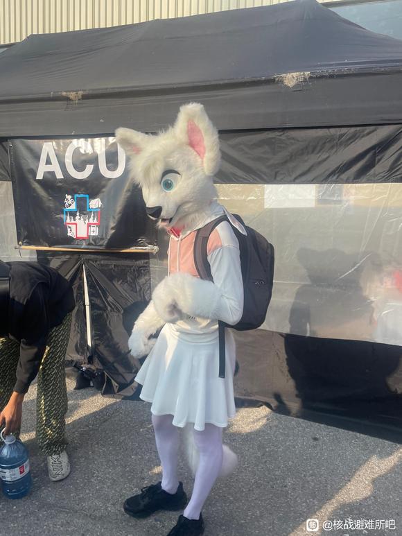 ��չ�ϱ�С��������һЩ��ֵĶ���-1.jpg