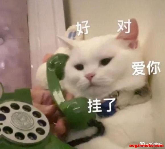 ���ɳ��ɻ���lo/����/jk�Ʒ�/cos-1.jpg
