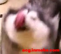 ���׻�ʦ���׳��л���,Լ�廭,Ԥ��K��-1.jpg