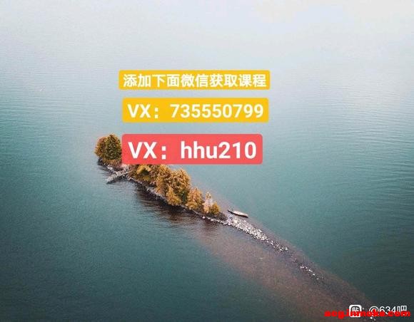 �ɲ�ࡿƽ��˼ά��廭�Ӿ�ϵͳʵս������-2.jpg