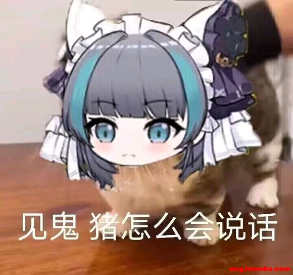 èèͷ����չ��ʼ������,����һ�¶�Ҫ���èèͷ-1.jpg
