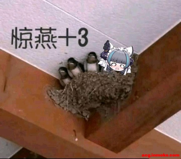 ��û����֪��ө�����չ���������С����cn-1.jpg