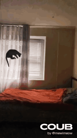 ��ʦ:catzz �廭����.2-4.jpg