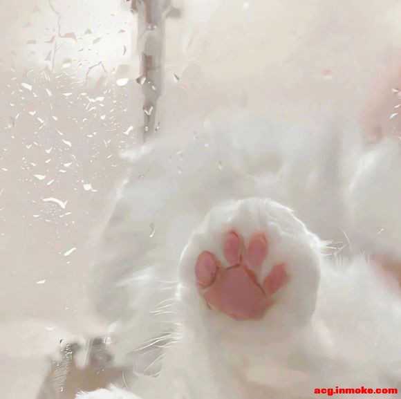 ����#�廭# #ͷ��#-2.jpg