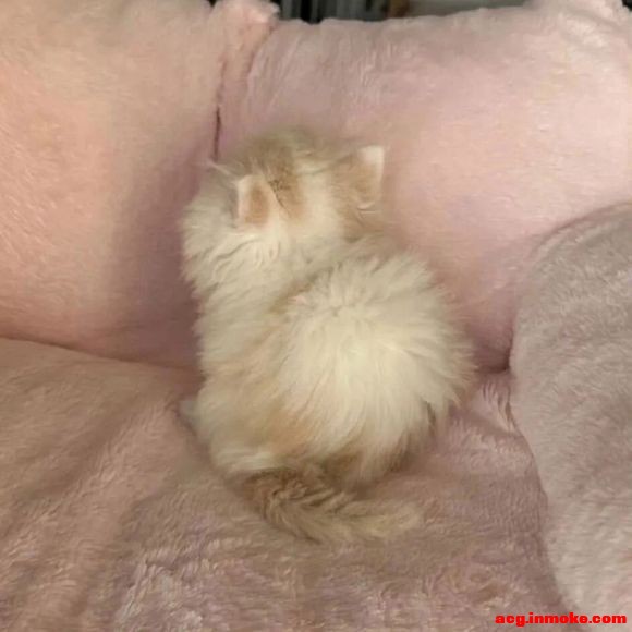 ����#�廭# #ͷ��#-4.jpg