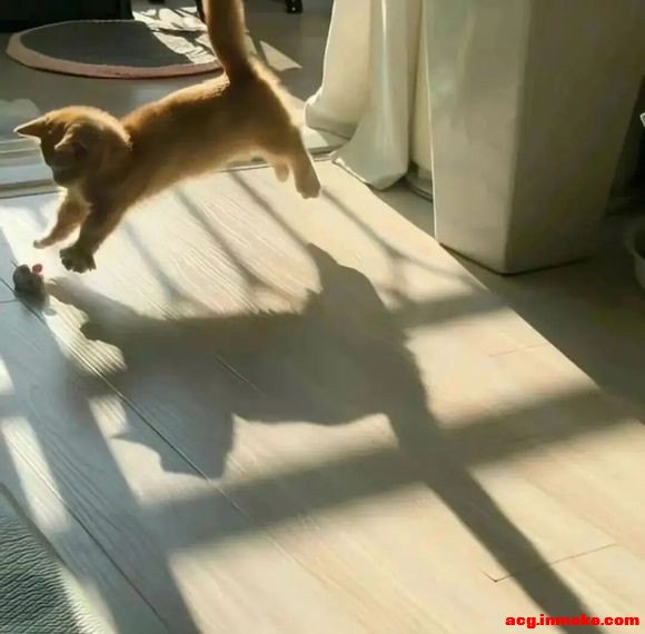 ����#�廭# #ͷ��#-6.jpg