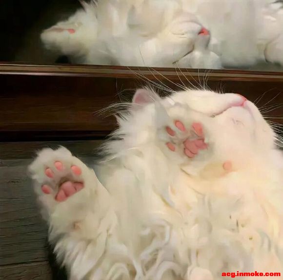 ����#�廭# #ͷ��#-7.jpg