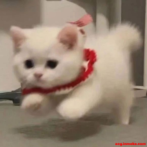 ����#�廭# #ͷ��#-8.jpg