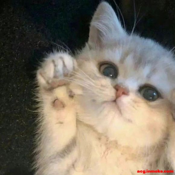 ����#�廭# #ͷ��#-9.jpg