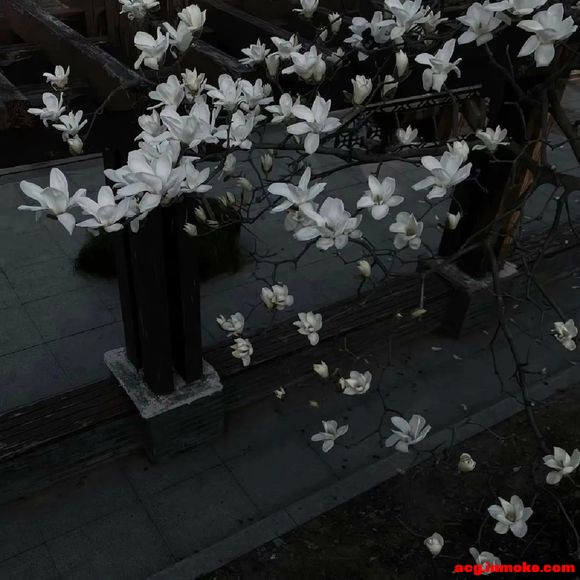 ?����ǽ3�� #�廭# #ͷ��#-9.jpg