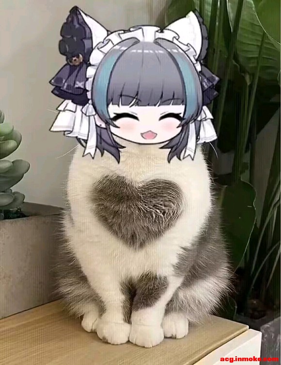 ��COS��Ƭ��������(?�� _ ��?)-1.jpg