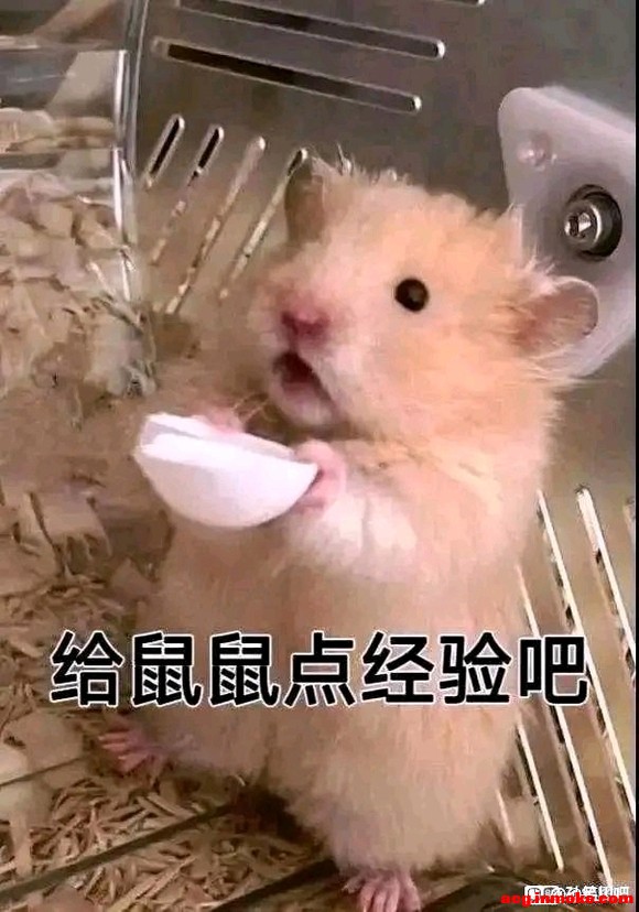 ���������һ���Խ�����Ʒ,����˺Ű���,�ܸ����������Ľ�ɫ��-1.jpg