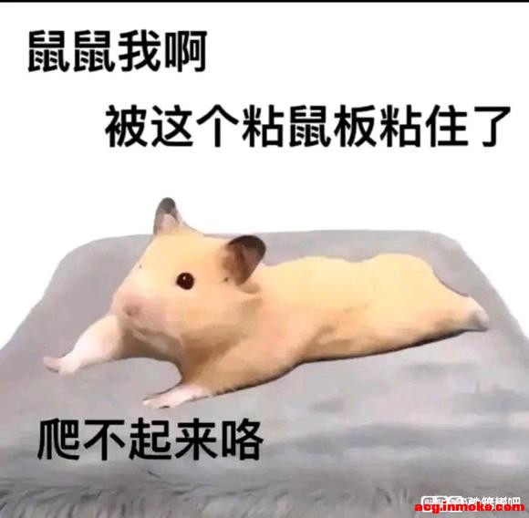 ���������ѧϰ����廭,�������̴�����һЩ����-1.jpg