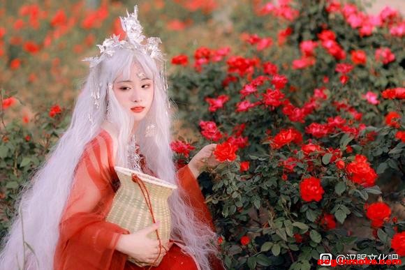 �¼��뾣��|�׷�����-3.jpg