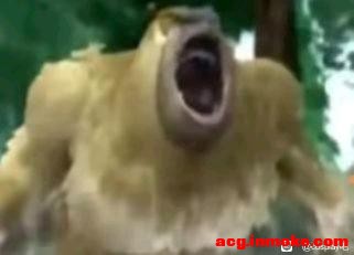 ��COS��Ƭ�����ٻ�������-1.jpg