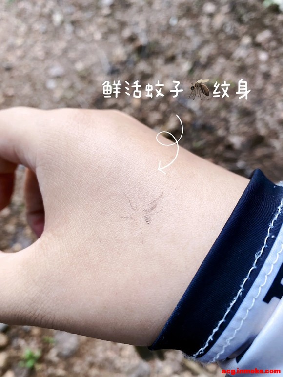 �廭ʦ������ũ��-5.jpg