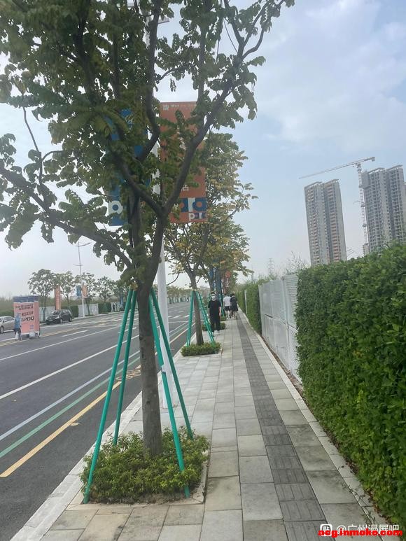 ����TCL��չ-1.jpg