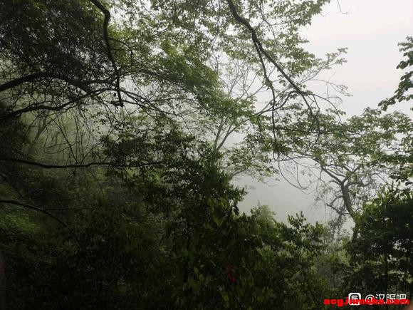 �뽻������С���-3.jpg
