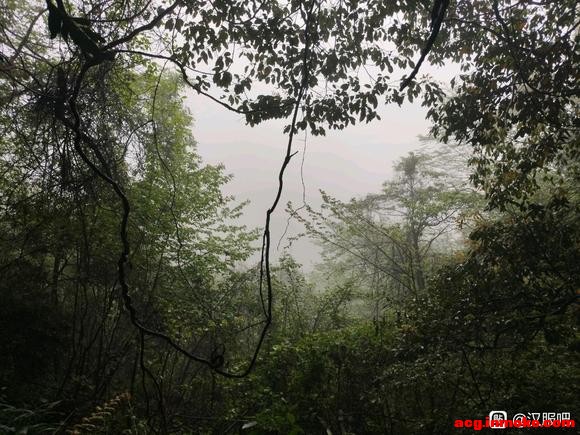 �뽻������С���-2.jpg