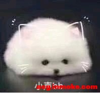 ��COS��Ƭ���ع�һ��͵ͼ��BվUP��-1.jpg