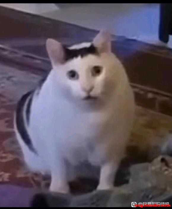 ����ȡ���⼸�Ų廭��?-3.jpg
