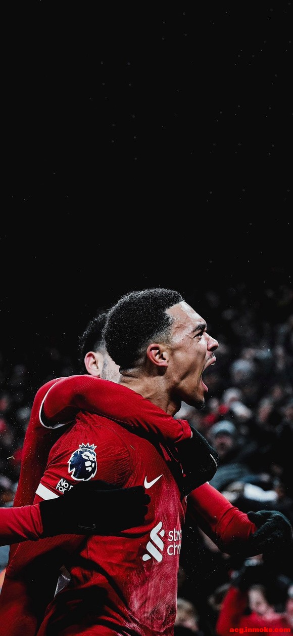 66TAA����?��ֽ+-1.jpg