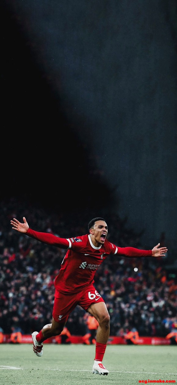 66TAA����?��ֽ+-2.jpg