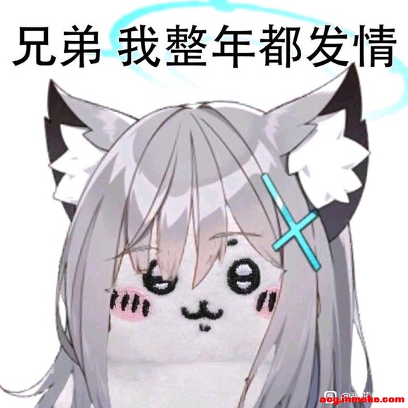 ������չ��侽�������-1.jpg