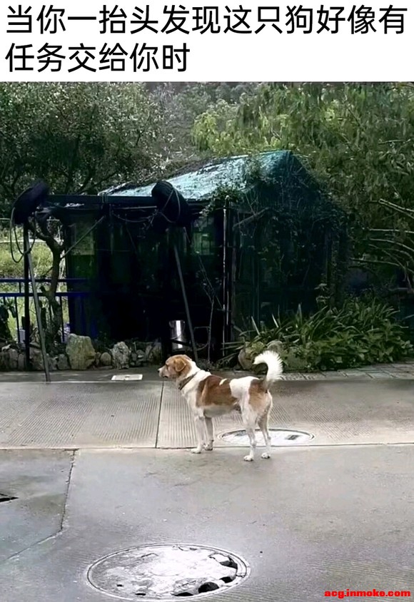 ������1��Ԥ�㵥������ƣ�������ps�滭���廭3dզ�䣿-1.jpg