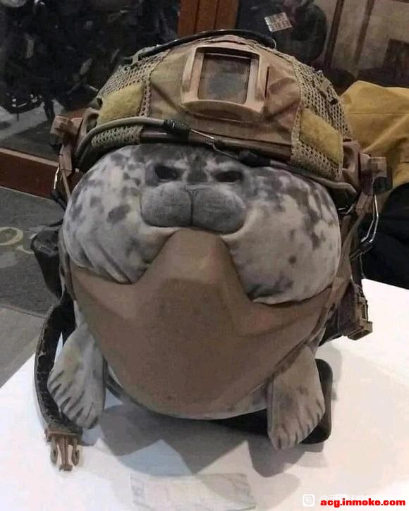 ���������ʲô��չ֮��Ļ��-1.jpg