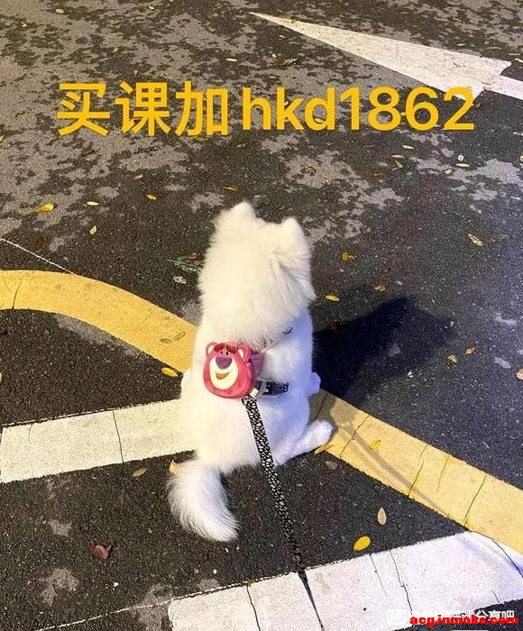������ѧ԰����21���ɫ����������/��ɫ������ƻ���/��ҵ�廭-1.jpg