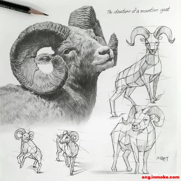 �������زģ��Ͻ��Ķ������� �����廭�ο�-3.jpg