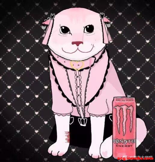 �����ǣ����������ܵ�����-1.jpg