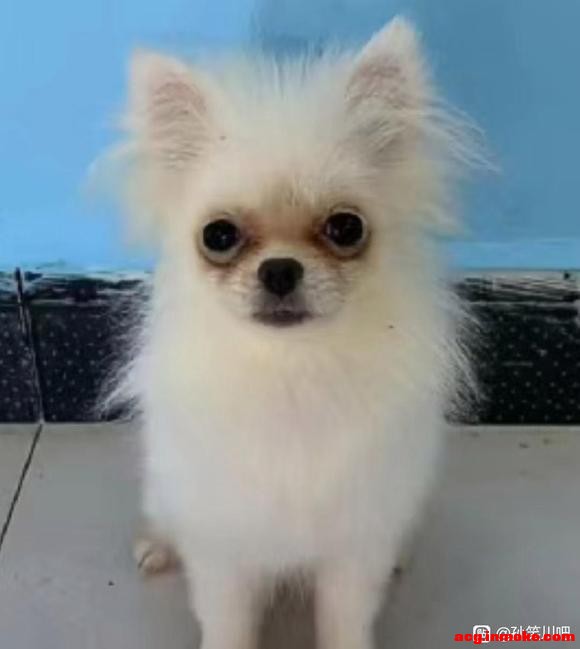 8u����Ҫ��һ��30�����****���ˣ�-5.jpg