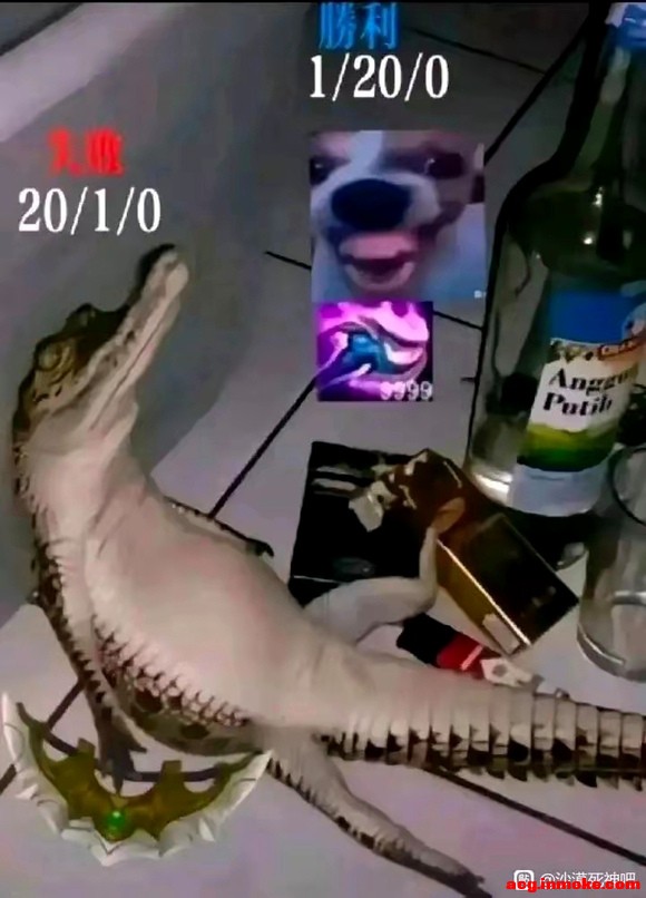 �ѱ���������-5.jpg
