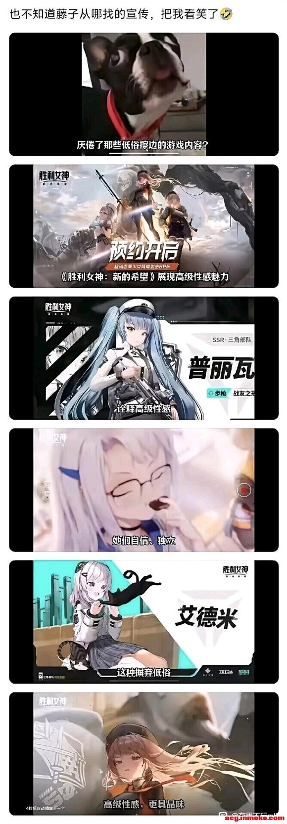 �����˲�����ἧ�������-3.jpg