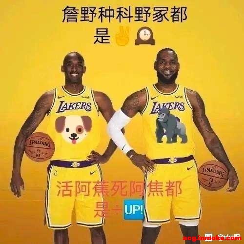 �ƱȺڵ��̵�-5.jpg