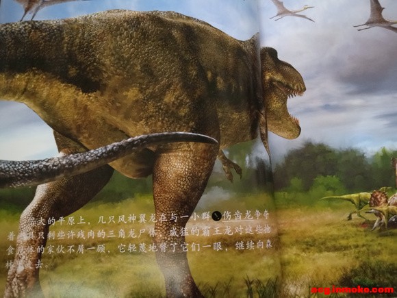��ͼ�Ĳ廭С���¡������ռ���������������������-1.jpg