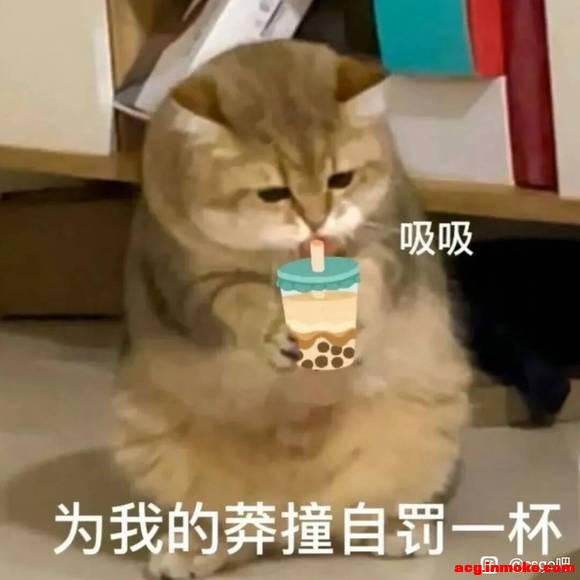 �ֵ��ǣ���Ҫ�ڳ���-6.jpg