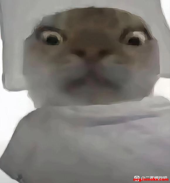 ��������û�и�ͷ��-8.jpg