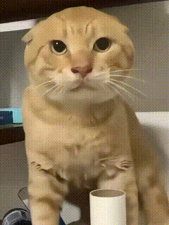 ��һ��չ�ĵ�ͼ-1.jpg