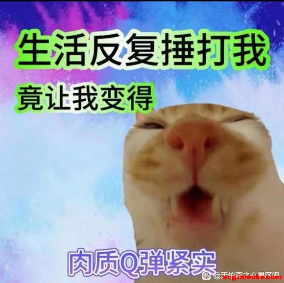 ��ʿ������Ʒ����-1.jpg